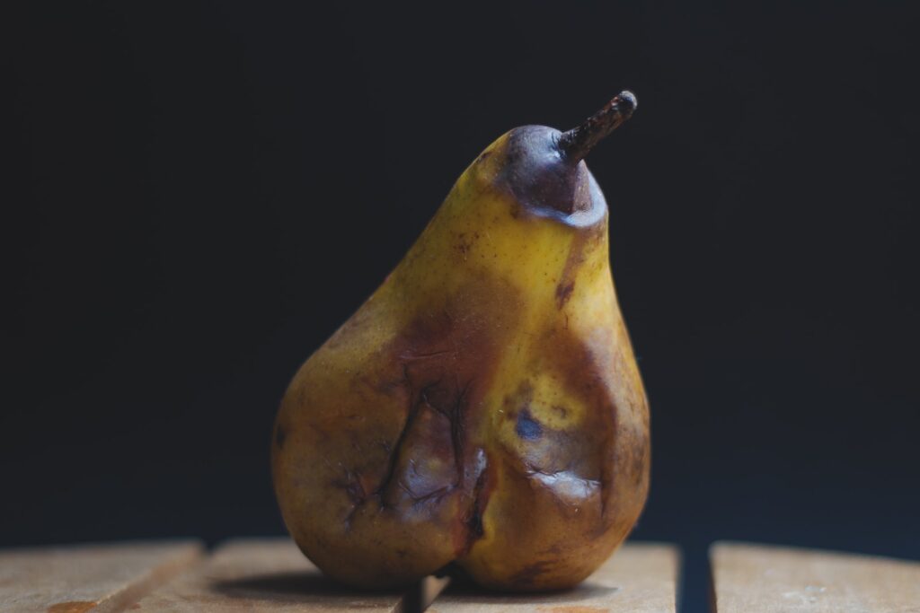 A rotten pear and how Refrigerator Temperature impacts food nutrition 