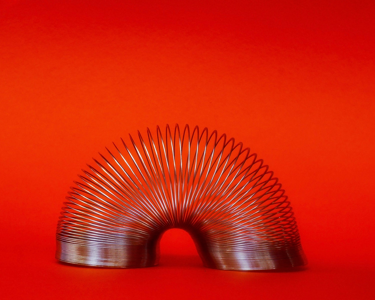 gray slinky toy