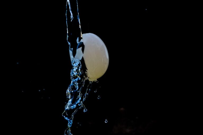 The Egg Float Test: How to Check If Your Eggs Are Still Good in 2026