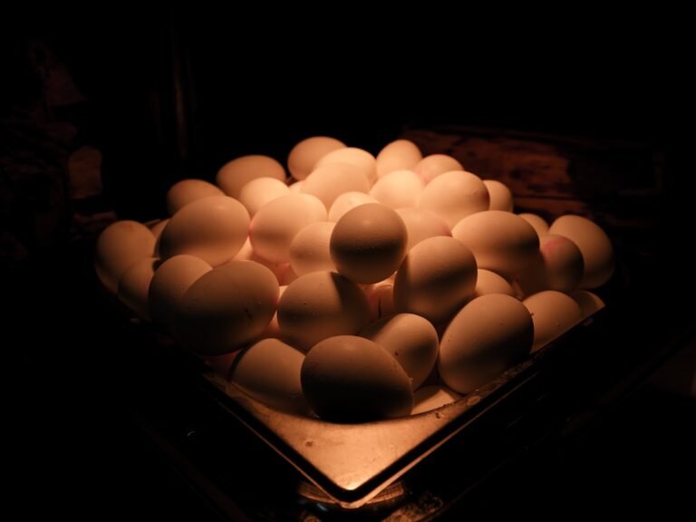How to Hard Cook an Egg Perfectly Every Time (2026 Guide)
